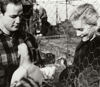 Screen-Shot-2014-12-02-at-5.09.31-PM